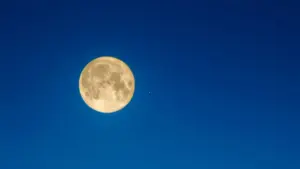 vollmond mai 2026 sternzeichen — DE news