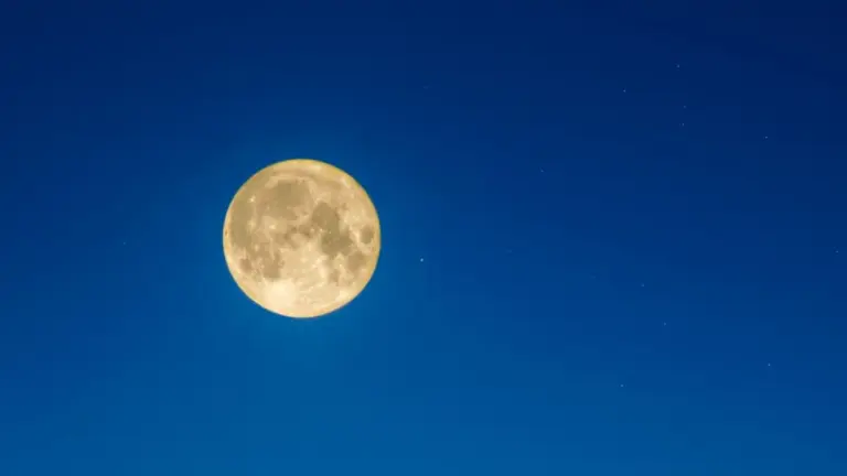 vollmond mai 2026 sternzeichen — DE news