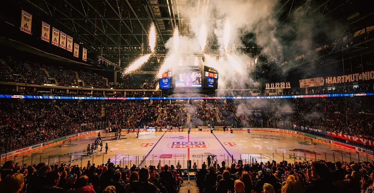 eisbären berlin — DE news