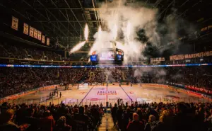 eisbären berlin — DE news