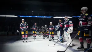 eishockey adler mannheim eisbären berlin — DE news