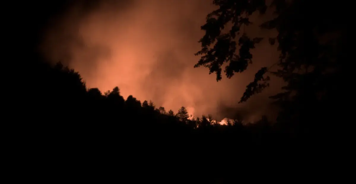 waldbrand böhmische schweiz — DE news