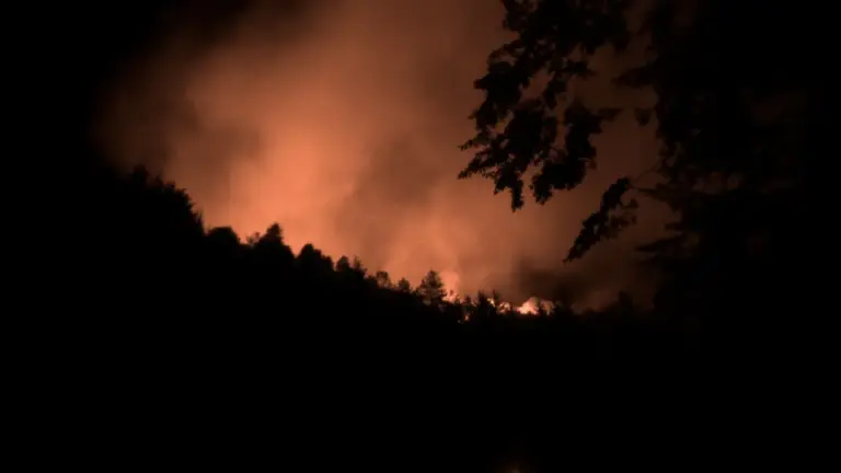 waldbrand böhmische schweiz — DE news