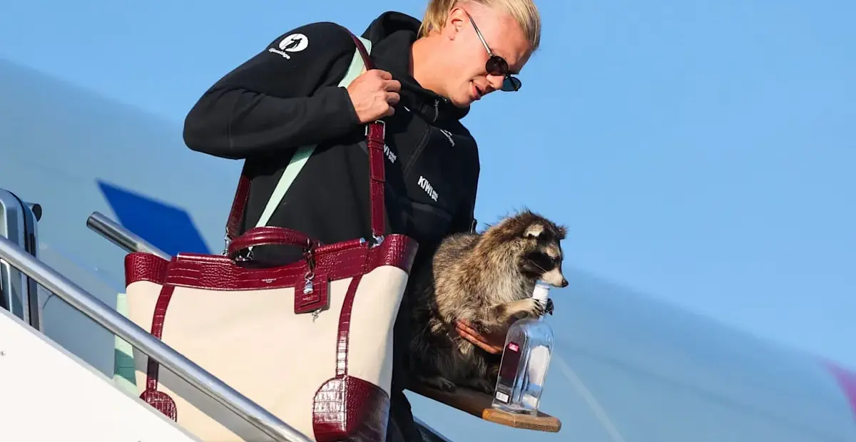 WM 2026: Kurioses Andenken: Erling Haaland landet mit ausgestopftem Tier in Norwegen - BILD