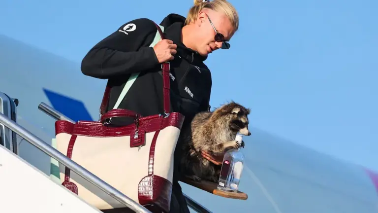 WM 2026: Kurioses Andenken: Erling Haaland landet mit ausgestopftem Tier in Norwegen - BILD